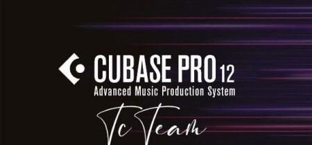 Steinberg Cubase Pro v12.0.20 WiN